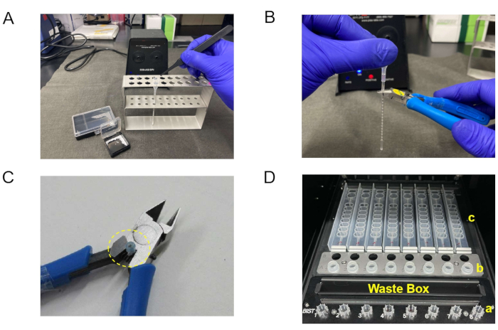 figure-results-2 A: PCR workstation setup with tweezers, microtubes; B: Puncturing microtube film; C: Wire cutter tool; D: Centrifuge waste box with tubes.