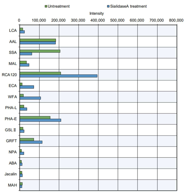 figure-results-5 Lectin binding intensity chart comparing untreated vs. SialidaseA treated samples.