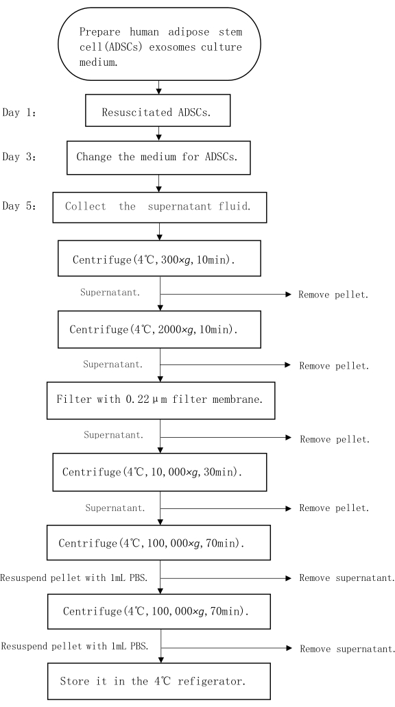 ADSC exosomes preparation flowchart, centrifugation steps, membrane filtration, supernatant processing.