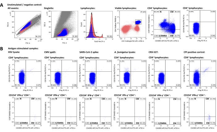 figure-results-3 Flow cytometry analysis of lymphocytes; scatter plots, histograms; CD4+ markers, antigen response.