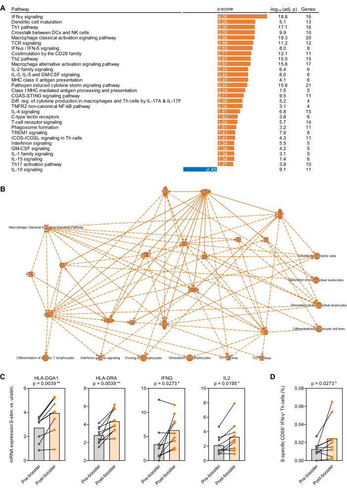 figure-results-4 Pathway analysis, bar chart, network diagram, and gene expression graphs showing immune response post-booster.
