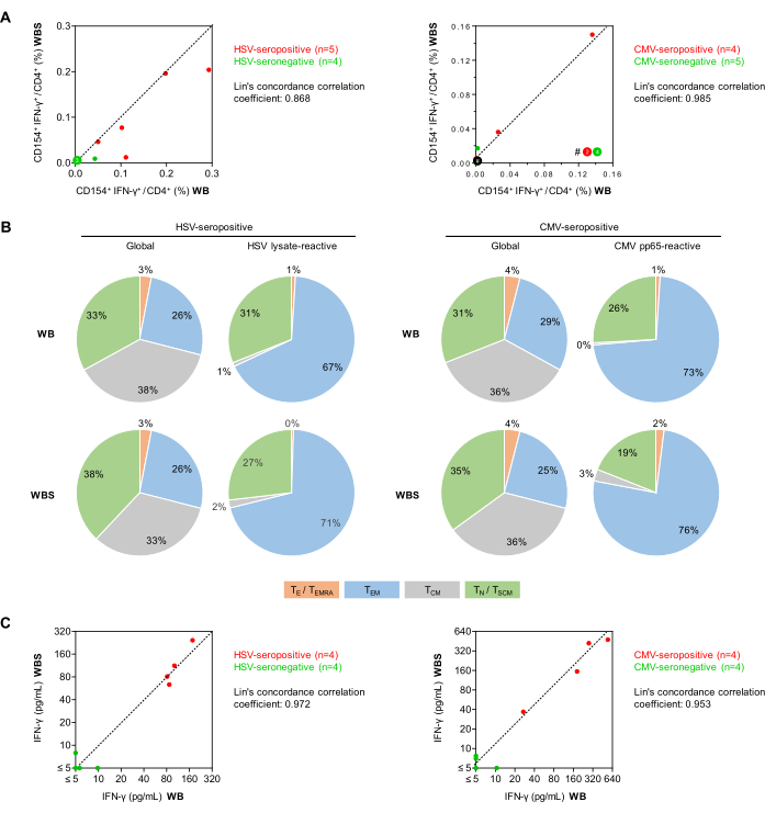figure-results-5 Flow cytometry analysis charts; CD154+ IFN-γ+ CD4+ T-cell data; HSV/CMV seropositive/seronegative comparison.