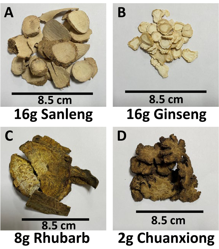figure-results-1 Herbal medicine samples: Sanleng, Ginseng, Rhubarb, Chuanxiong; traditional use comparison.