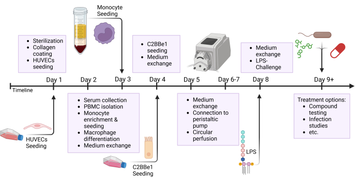 figure-protocol-2 figure-protocol-2