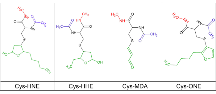 Chemical structures of cysteine adducts, diagram of Cys-HNE, Cys-HHE, Cys-MDA, and Cys-ONE.