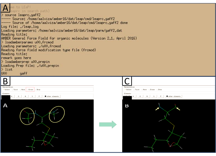 Molecular modeling workflow; commands, molecule diagrams; force field setup, atom identification.