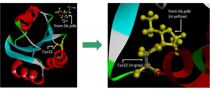 Protein structure diagram showing cysteine bond; molecule visualization in PDB file comparison.