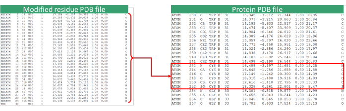 PDB file comparison diagram showing modified residue alignment in protein structure data analysis.
