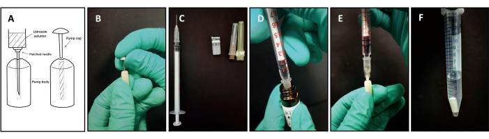 Controlled drug release experiment with solvent extraction, syringe filtration, lab setup images.