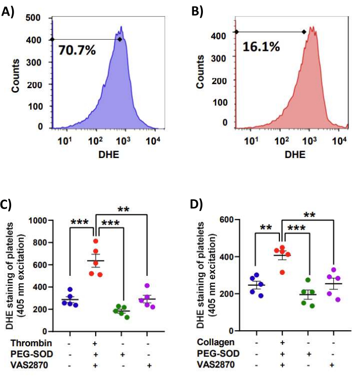figure-results-9 DHE fluorescence histograms and bar graphs, platelets oxidative stress analysis; flow cytometry results.