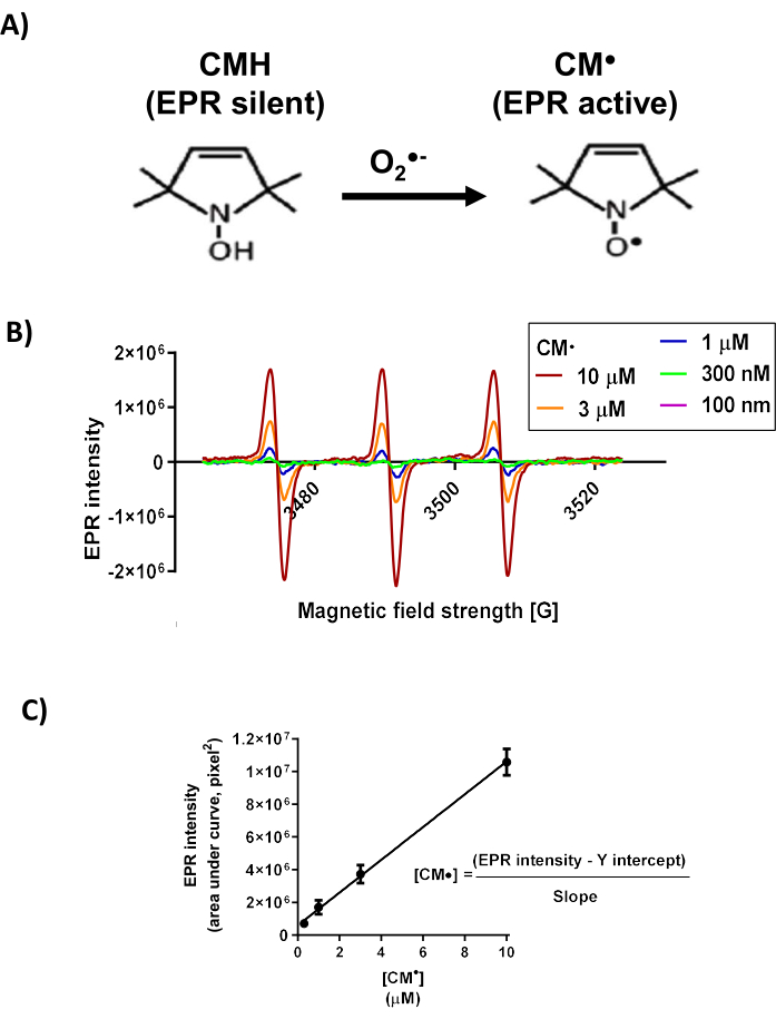 figure-results-11 CMH to CM• conversion diagram and EPR spectra with concentration analysis graph for oxidation study.