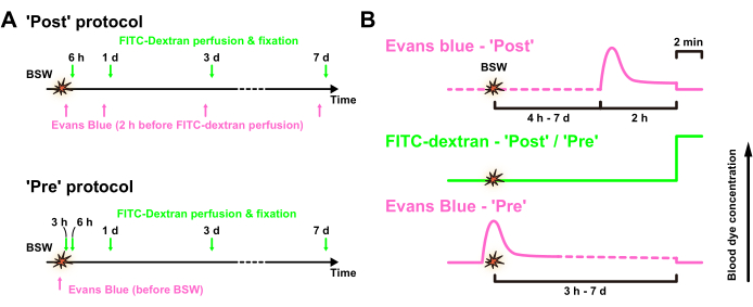 figure-results-1 figure-results-1