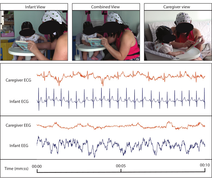 figure-results-1 Caregiver-infant interaction study; ECG/EEG data comparison, time-series chart analysis, experiment setup.