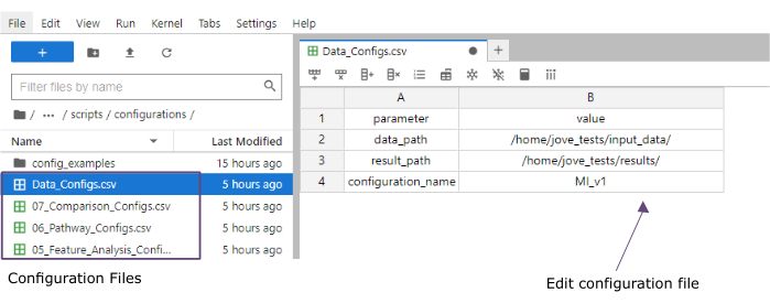 Configuration files setup with data paths; CSV editing interface.