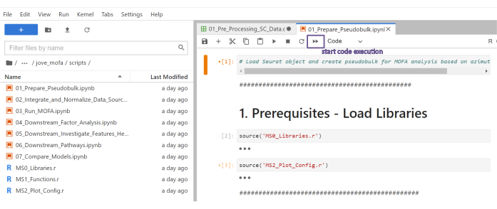 Jupyter Notebook interface for MOFA analysis script setup and library configuration process.