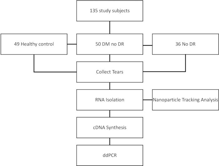 figure-protocol-1 Flowchart of study process: tears collected, RNA isolation, cDNA synthesis, ddPCR analysis.