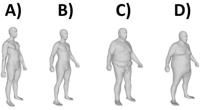 Human body mass indices diagram comparing body types A-D in 3D anatomical modeling.