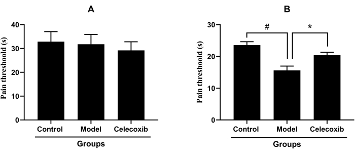figure-results-2 Bar chart comparing pain thresholds in control, model, and celecoxib groups; statistical analysis shown.
