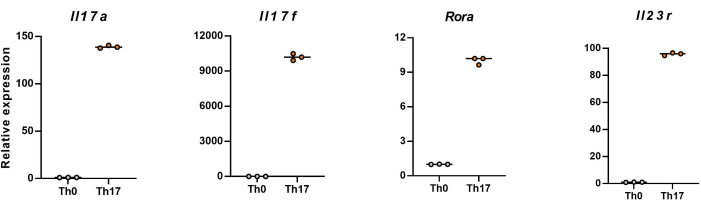 Gene expression comparison chart; Th0 vs Th17 cells; Il17a, Il17f, Rora, Il23r; expression analysis.