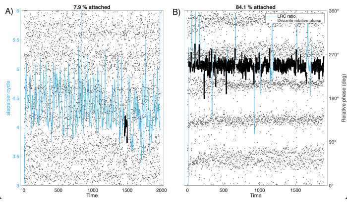 figure-results-1 Time series graph analyzing steps per cycle and relative phase; LRC ratio, data analysis.