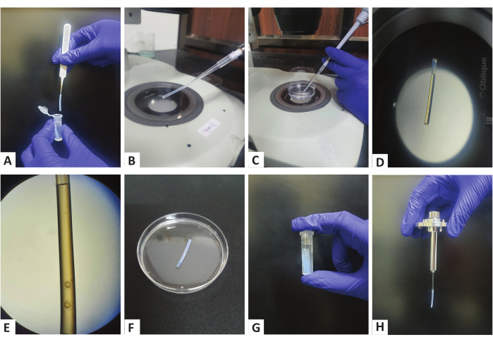 figure-results-1 Centrifugation process using pipette; steps for sample preparation, centrifuge setup, microscopy.