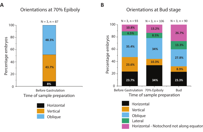 figure-results-4 Embryo orientation bar charts at epiboly and bud stages, showing sample preparation percentages.