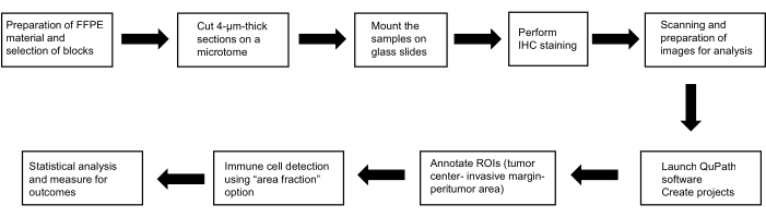 figure-results-1 IHC staining workflow diagram: FFPE preparation, microtome sectioning, glass slide mounting.