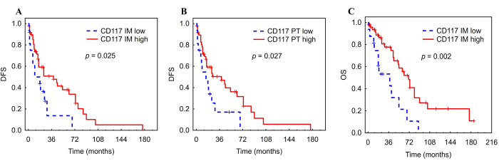 figure-results-8 Cancer survival analysis, Kaplan-Meier plots, DFS, OS, CD117 expression, p-values, clinical results.