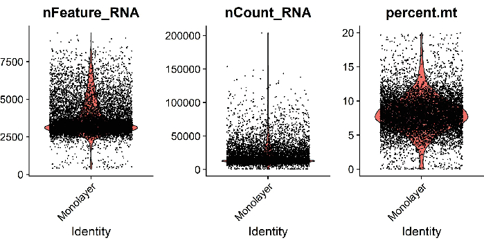 figure-results-3 Violin plots of nFeature_RNA, nCount_RNA, percent.mt for monolayer identity in RNA analysis.