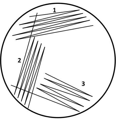 figure-results-1 figure-results-1
