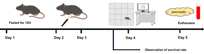 figure-results-1 Mouse study timeline; fasting, injection, observation; survival rate analysis diagram.