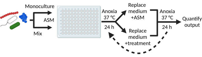 figure-results-1 Microbial growth process, 96-well plate diagram, anoxia conditions, treatment evaluation over 48h.