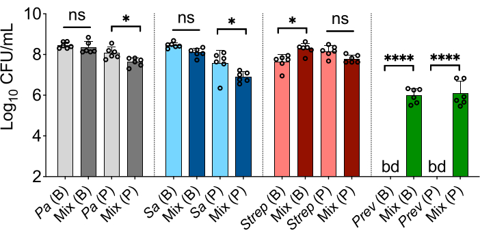 figure-results-2 Bacterial growth comparison chart, Log10 CFU/mL, various samples, statistical significance marked.