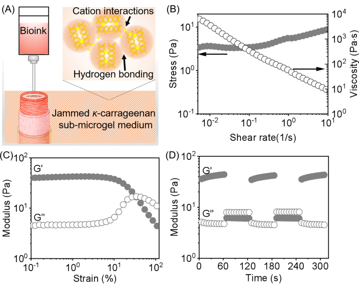 figure-results-1 K-carrageenan bioink rheology analysis; graphs show stress, viscosity, and modulus under shear strain.