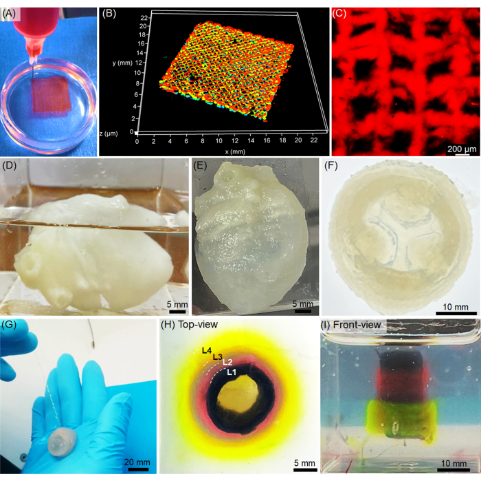figure-results-2 3D bioprinting process, material characterization, tissue engineering, microscopy results, lab setup.