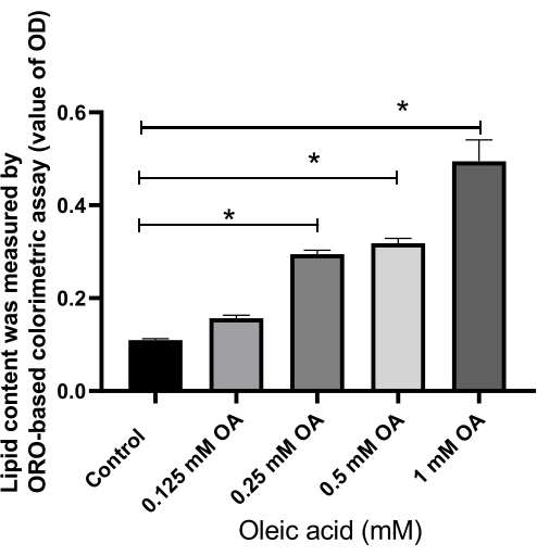 figure-results-5 Bar chart of lipid content from ORO assay with different oleic acid concentrations (0-1mM).