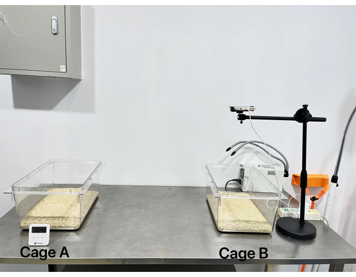 figure-results-1 Animal behavior study setup with cages, tracking camera, and sensors for data collection.