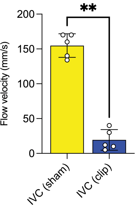 figure-results-6 figure-results-6