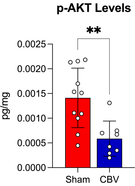 figure-results-7 figure-results-7