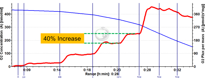 Oxygen concentration and flux graph showing a 40% increase during respiration experiment results.