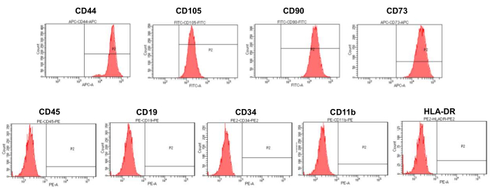 Flow cytometry histograms; cell marker expression analysis; CD44, CD105, CD90, CD73, CD45, CD19.
