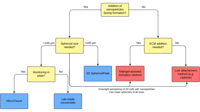 figure-results-3 Spheroid formation process diagram; nanoparticle addition; ECM method; size-based decisions; microtissue.