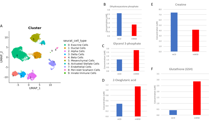 UMAP clustering map and bar charts comparing metabolite levels (DAG, G3P, 2-OGA, Creatine, GSH).