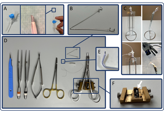 Surgical instruments and setup for protein extraction experiment; includes forceps, hooks, clamps.