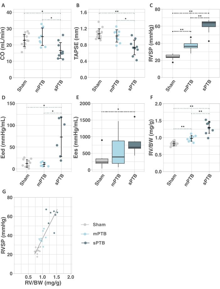 Cardiac function analysis; box plots; comparison of CO, TAPSE, RVSP, Eed, Ees, RV/BW in treatment groups.