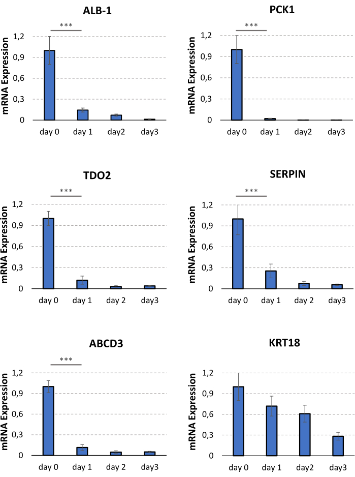 figure-results-3 Gene expression bar charts, mRNA levels over days, showing ALB-1, PCK1, TDO2, SERPIN, ABCD3, KRT18.
