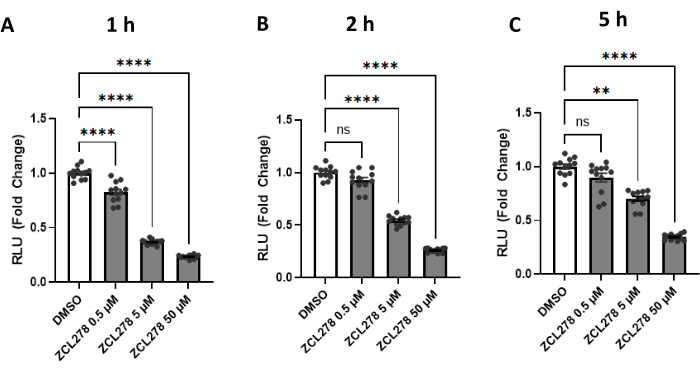 figure-results-3 Bar chart comparing RLU fold change in DMSO and ZCL278 at 1, 2, 5 hours; statistical analysis.