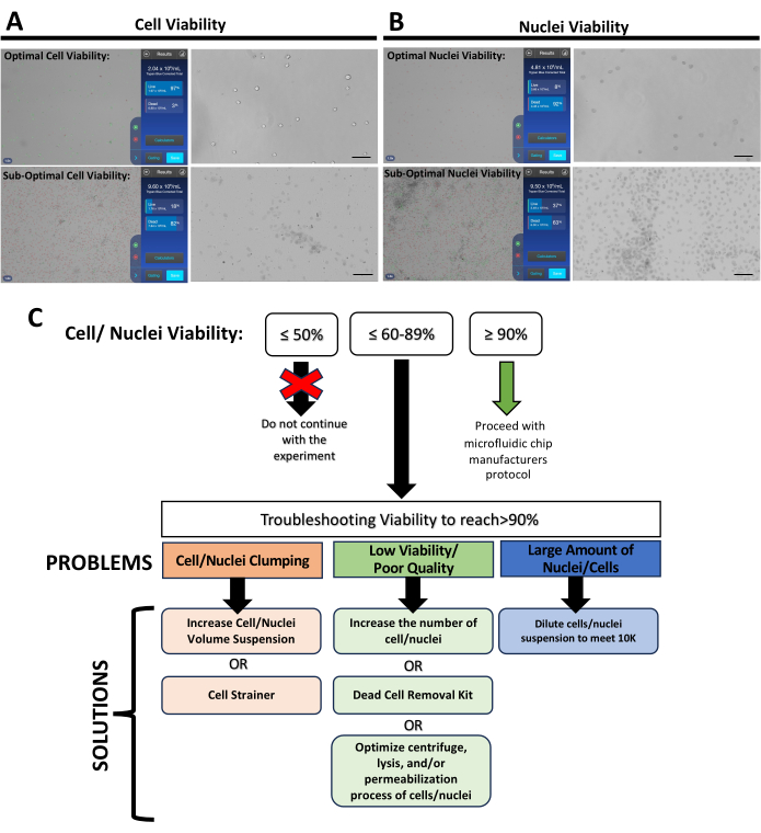 figure-results-5 Cell viability analysis, microscopy images, and troubleshooting flowchart for microfluidic protocol.