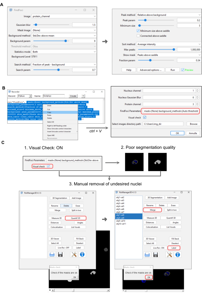 figure-results-2 FindFoci image processing workflow; protein channel analysis; nucleus segmentation; 3D quantification.