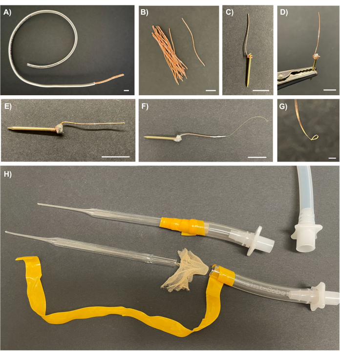 DIY worm electrode assembly steps; includes wires, pins, tubing; experimental setup for electrophysiology.
